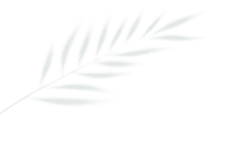 微信图片_20241227071947.gif