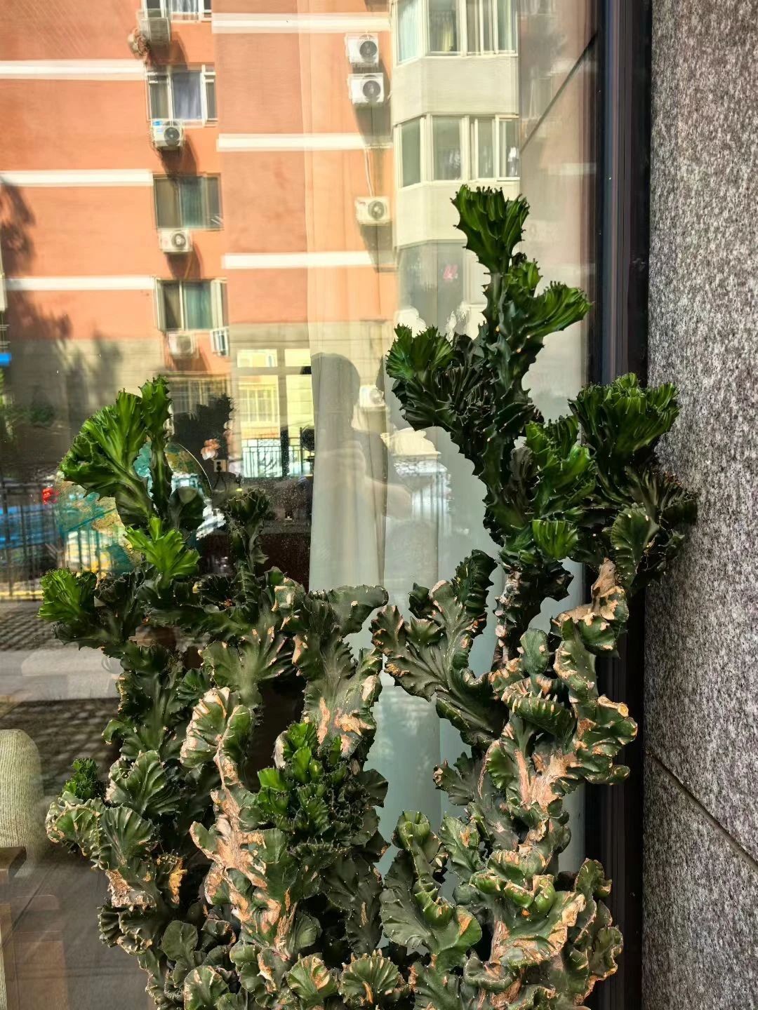 1754955111189803.jpg 微信图片_2025-08-12_073358_481.jpg