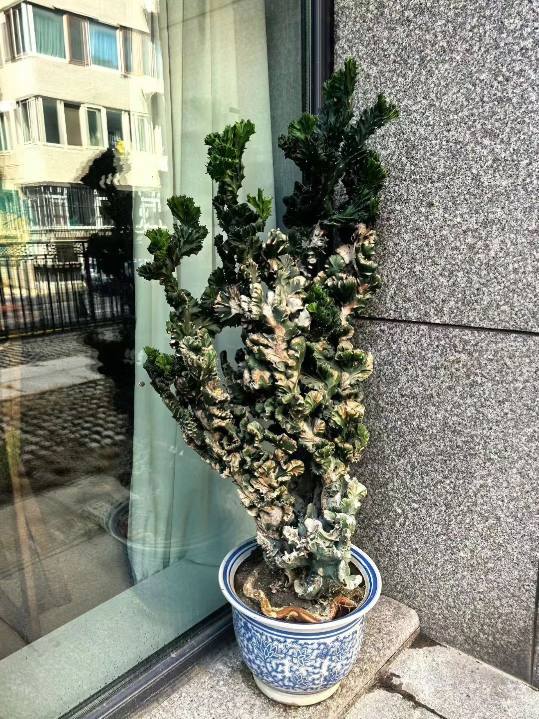 1754955123357885.jpg 微信图片_2025-08-12_073401_060.jpg