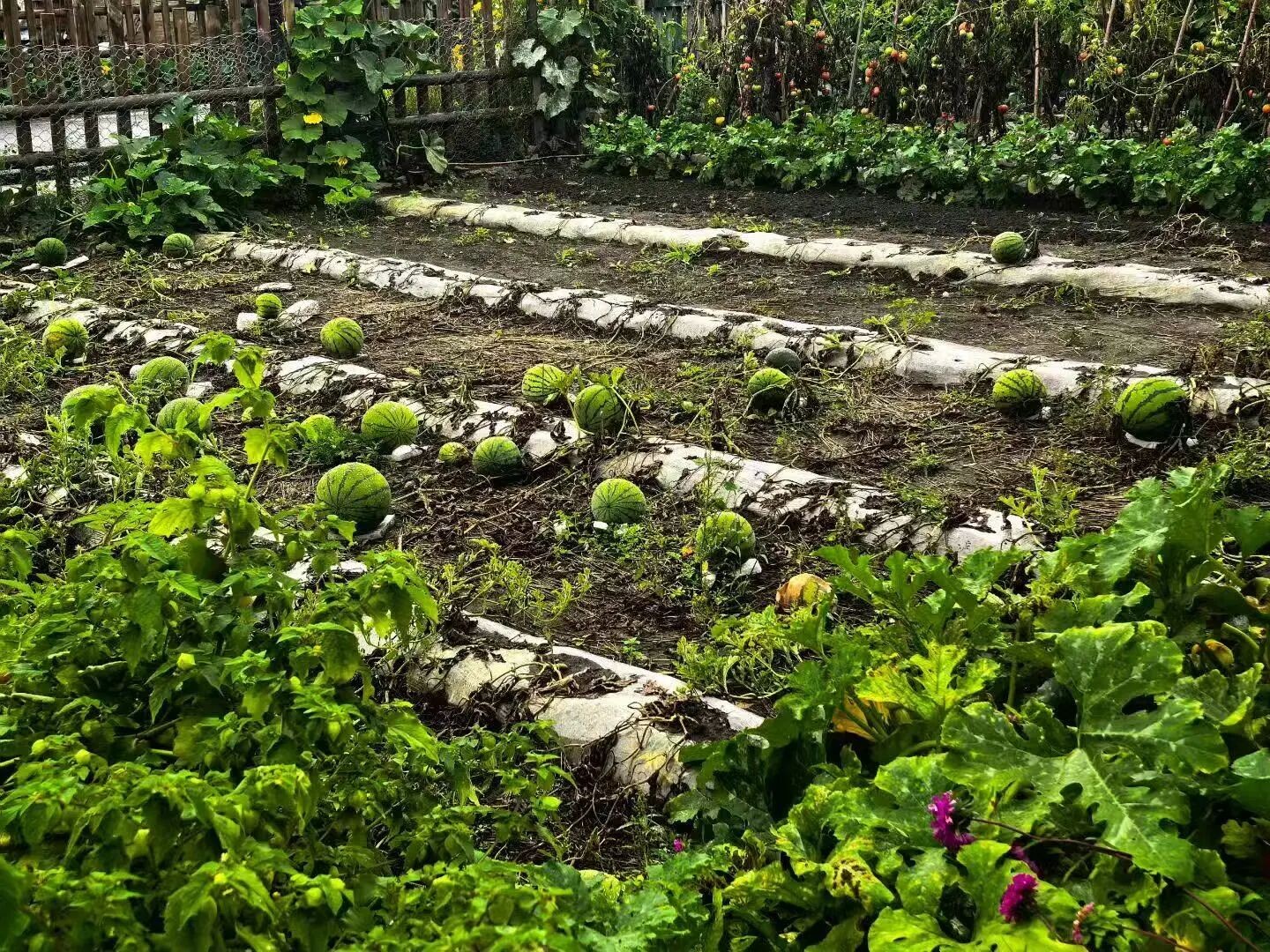 1756959844149174.jpg 微信图片_2025-09-04_101133_593.jpg