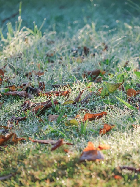 1757464634873281.jpg 微信图片_2025-09-10_083107_559.jpg