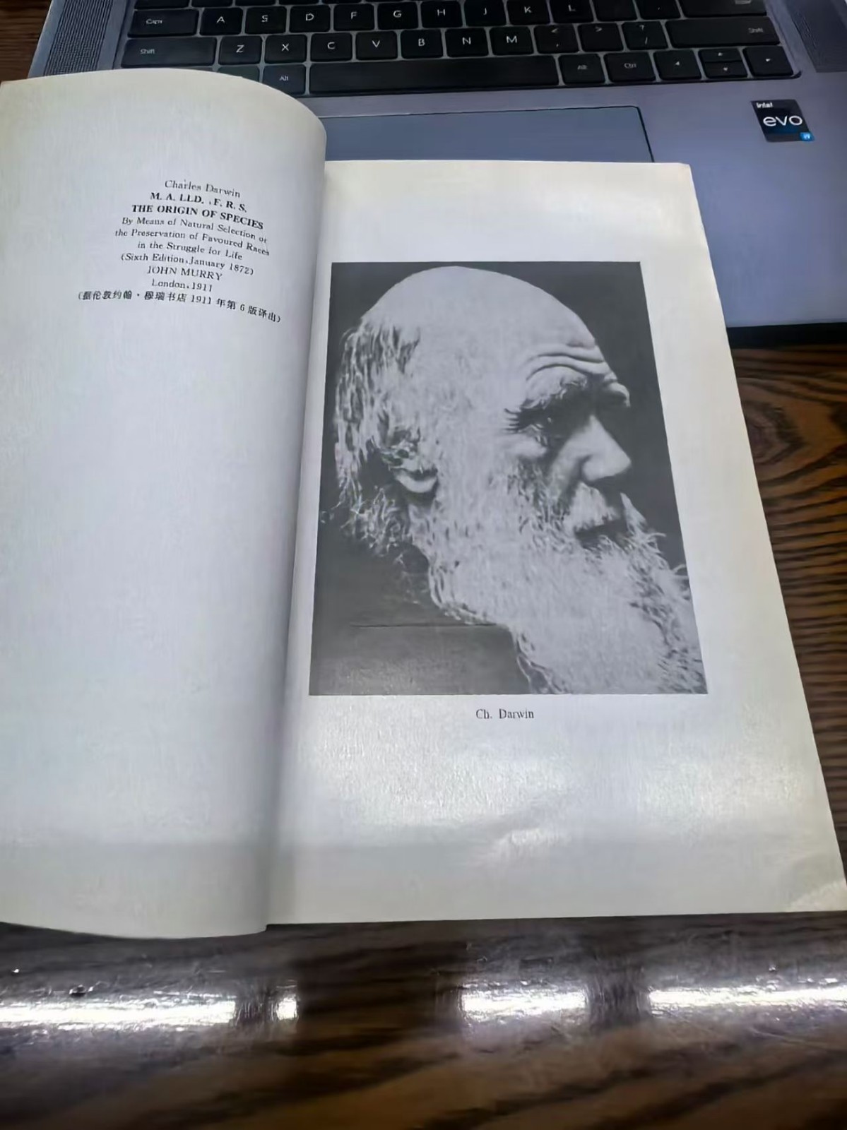 1759385678122236.jpg