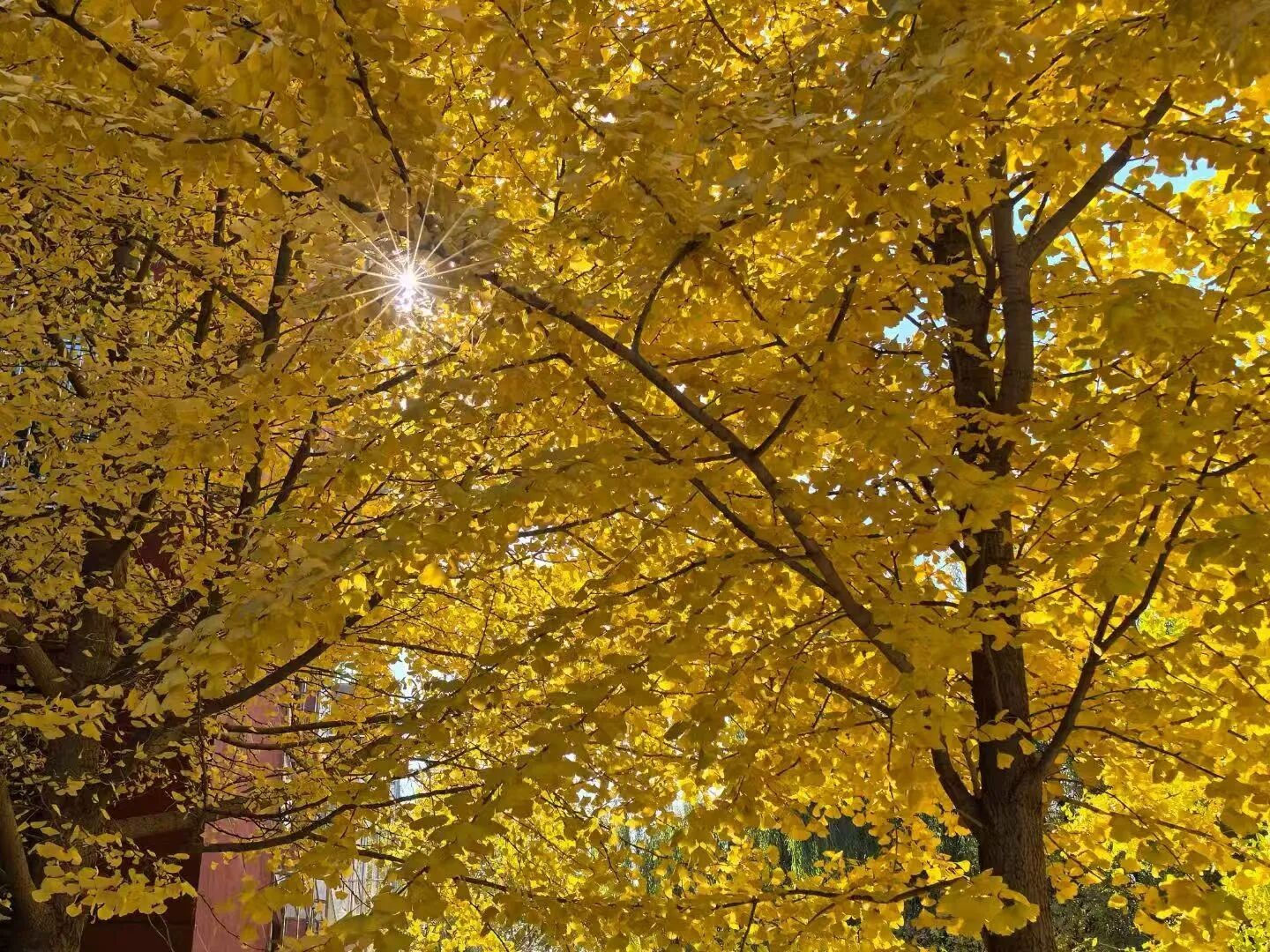 1760400017578167.jpg 微信图片_2025-10-14_075702_993.jpg